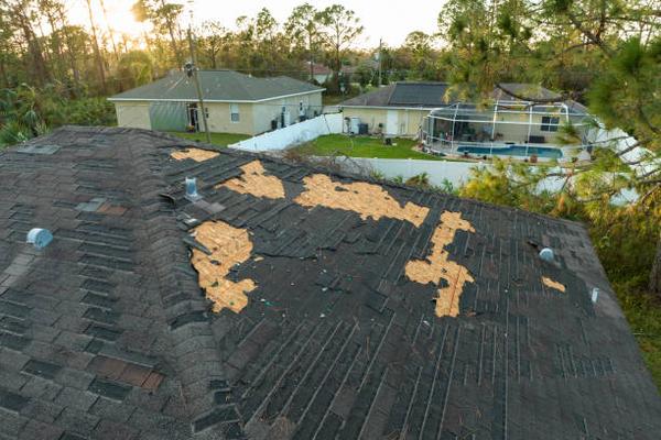 Top-Rated Roofing Contractors in Your Area Ready to Transform Your Home